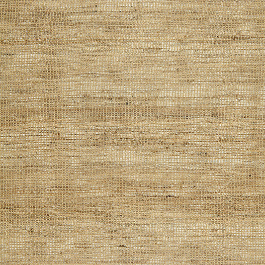 Purchase 12370 Titus Silk Sheer Buckwheat by Schumacher Fabric