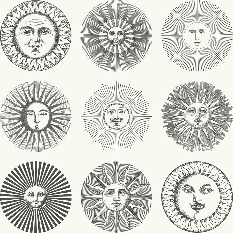 Sample - 123/1001 | Soli, Blacknovelty - Cole & Son Wallpaper - 123/1001.Cs.0