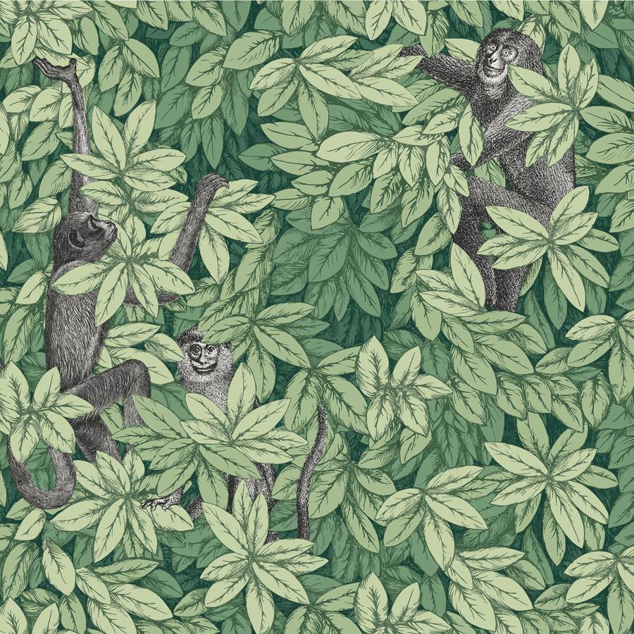 Sample - 123/10049 | Foglie E Scimmie, Green Leaf - Cole & Son Wallpaper - 123/10049.Cs.0