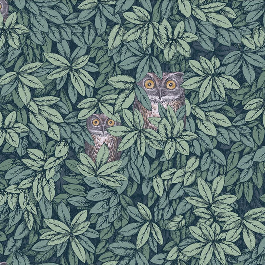 Purchase 123/11051 Foglie E Civette, Green Leaf - Cole & Son Wallpaper - 123/11051.Cs.0