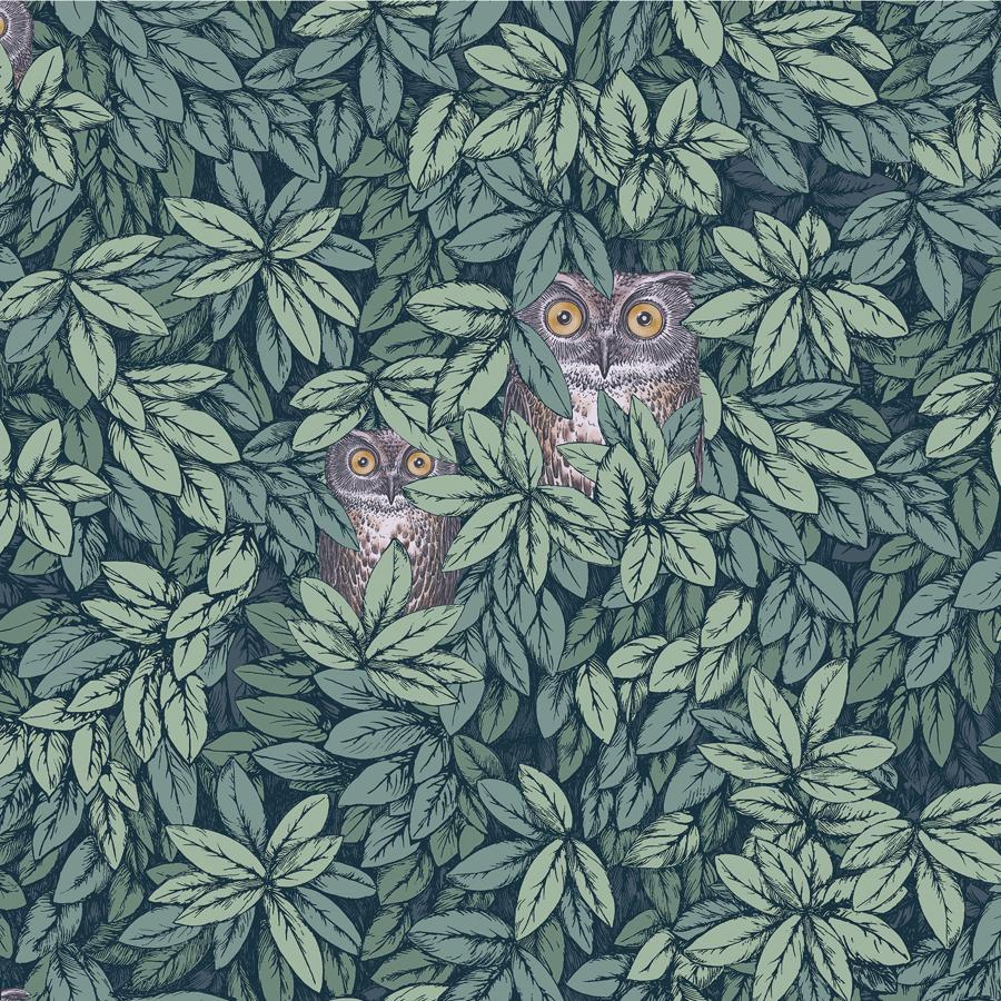Sample - 123/11051 | Foglie E Civette, Green Leaf - Cole & Son Wallpaper - 123/11051.Cs.0