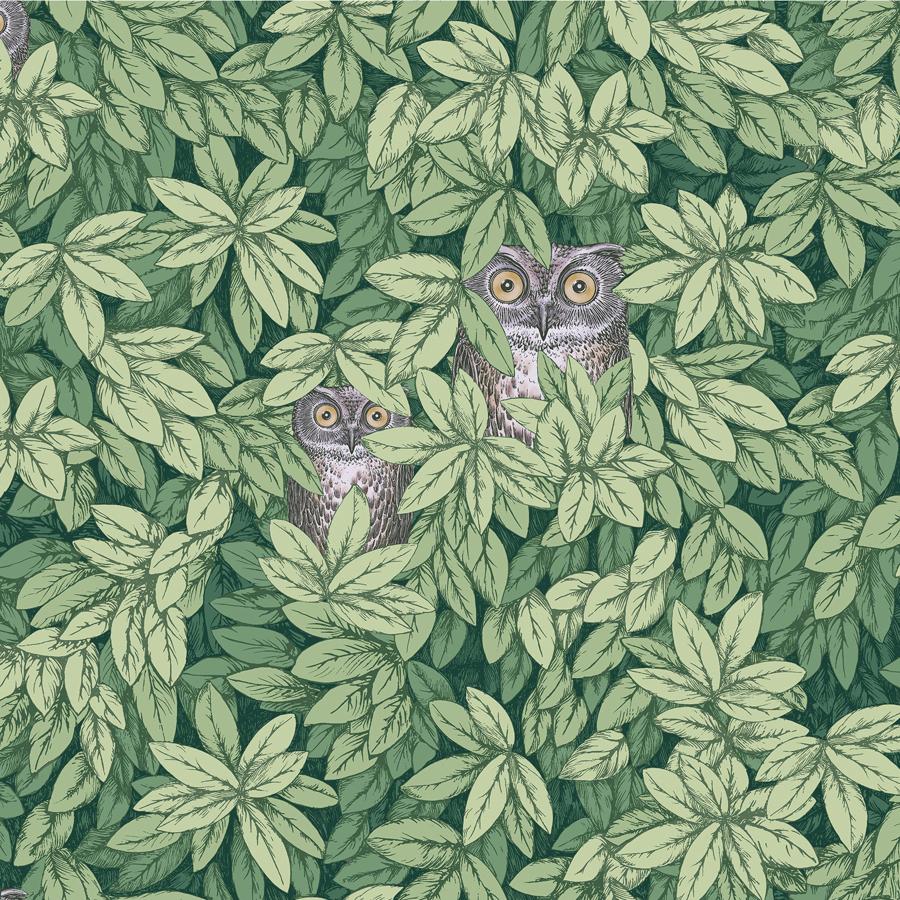Sample - 123/11054 | Foglie E Civette, Green Leaf - Cole & Son Wallpaper - 123/11054.Cs.0