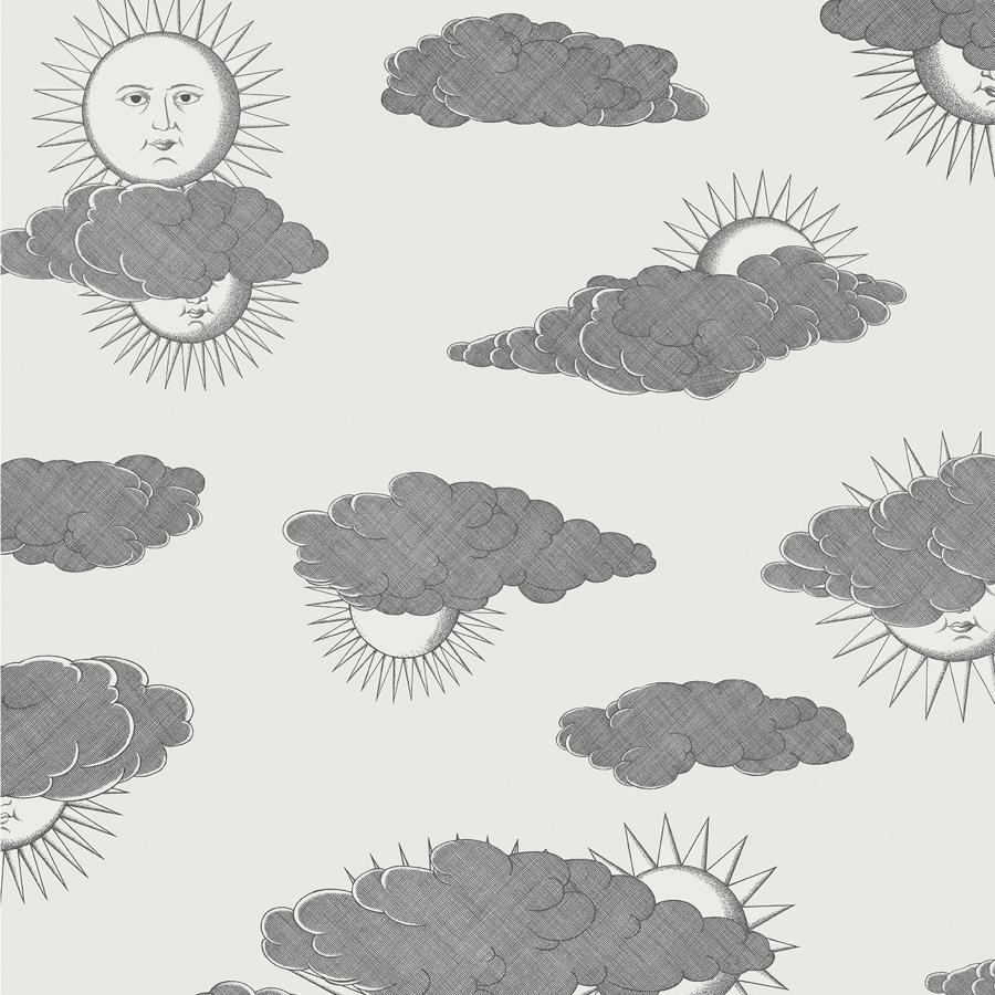 Sample - 123/2007 | Soli E Nuvole, Black Novelty - Cole & Son Wallpaper - 123/2007.Cs.0