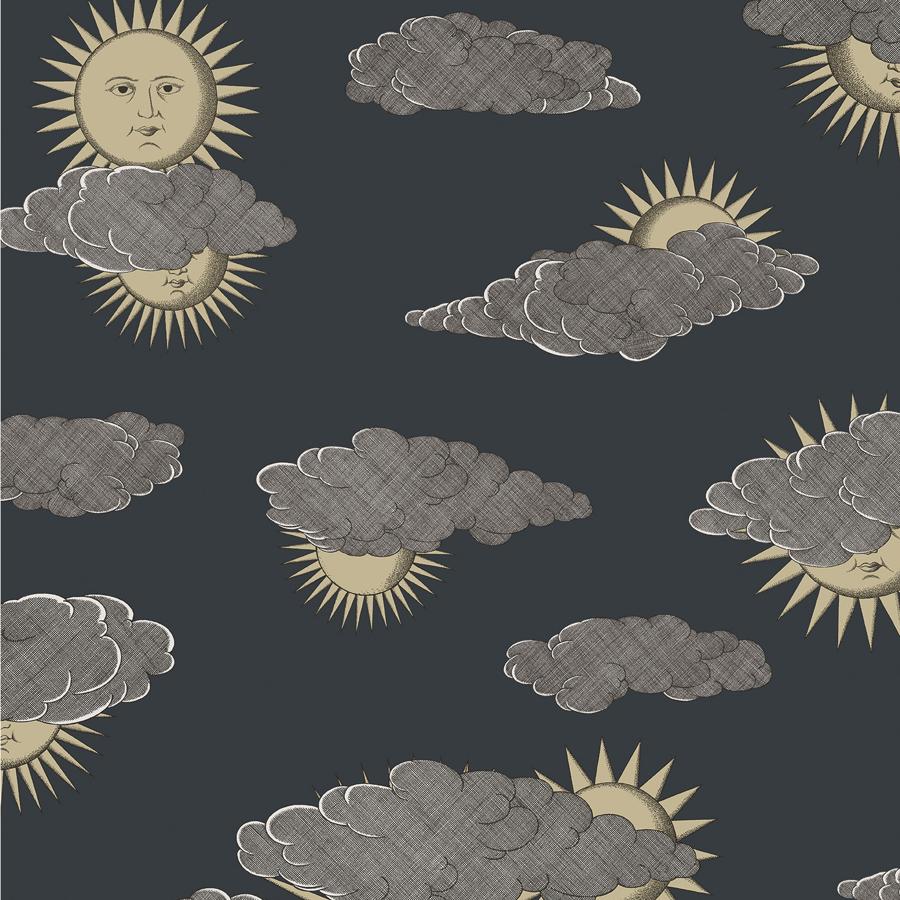 Purchase 123/2008 Soli E Nuvole, Grey Novelty - Cole & Son Wallpaper - 123/2008.Cs.0