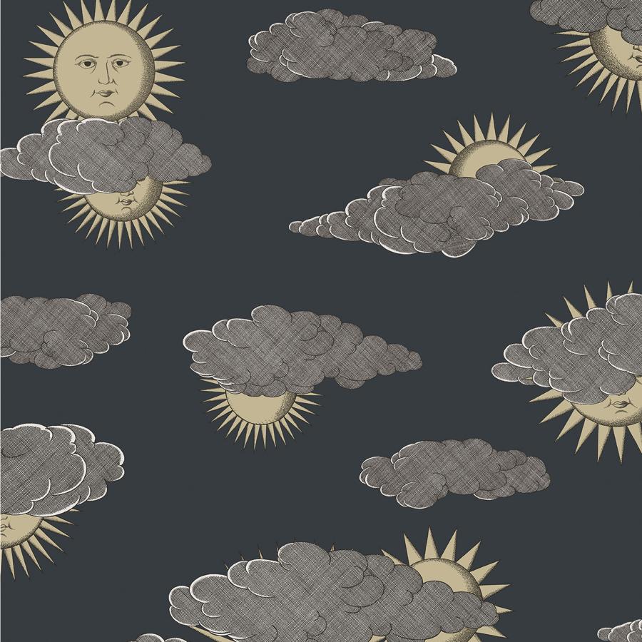 Sample - 123/2008 | Soli E Nuvole, Grey Novelty - Cole & Son Wallpaper - 123/2008.Cs.0
