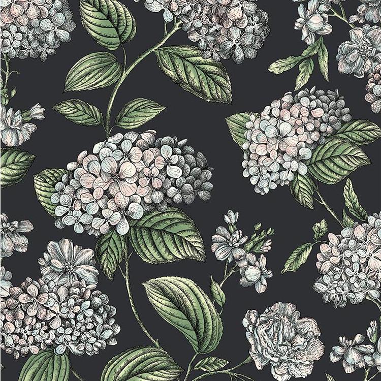 Purchase 123/8038 Ramo Di Ortensia, Black Botanical - Cole & Son Wallpaper - 123/8038.Cs.0