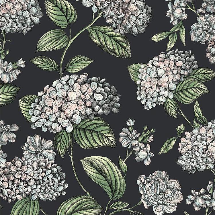 Sample - 123/8038 | Ramo Di Ortensia, Black Botanical - Cole & Son Wallpaper - 123/8038.Cs.0