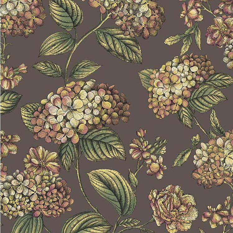 Purchase 123/8041 Ramo Di Ortensia, Brown Botanical - Cole & Son Wallpaper - 123/8041.Cs.0