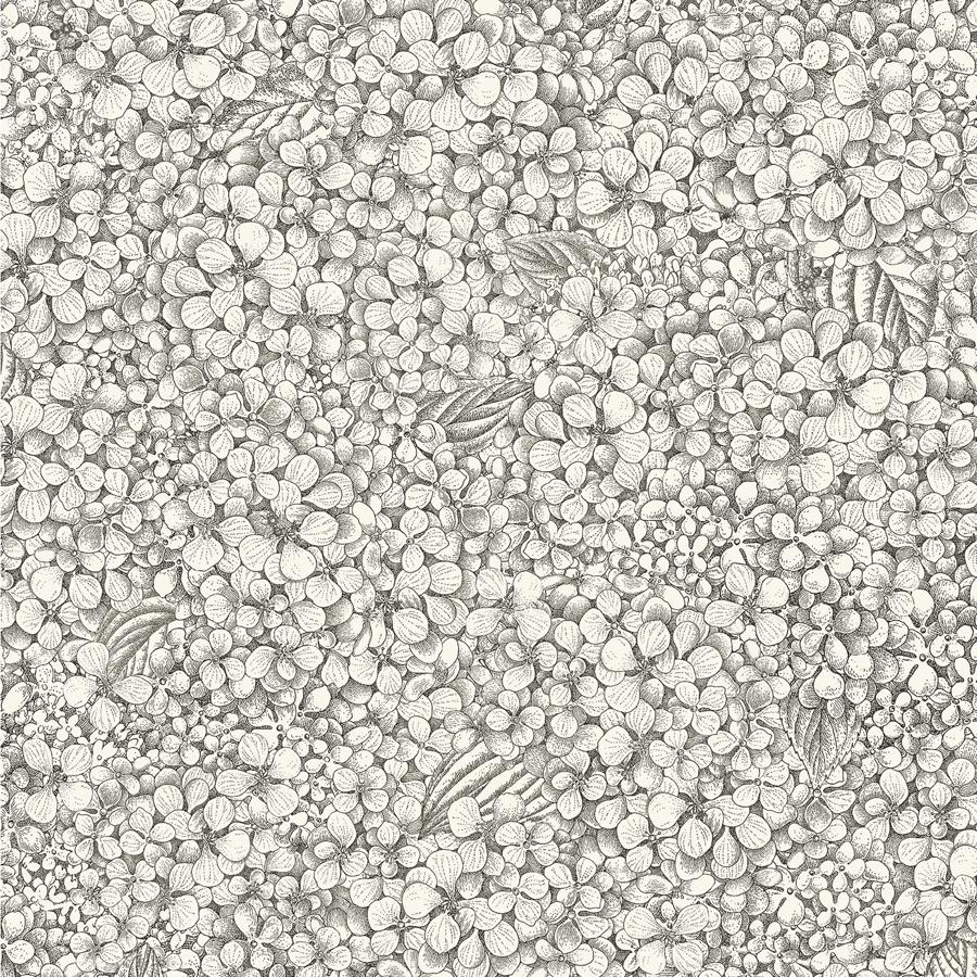 Sample - 123/9043 | Ortensia, Black Botanical - Cole & Son Wallpaper - 123/9043.Cs.0