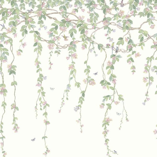 Purchase 124/2008 Hummingbirds Flora, Blush Botanical - Cole & Son Wallpaper