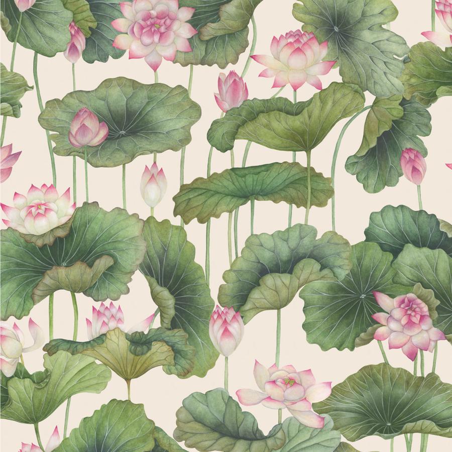 Purchase 126/9031 Lily Lotus, Pink Botanical - Cole & Son Wallpaper