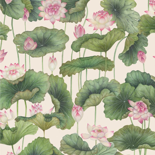 Purchase 126/9031 Lily Lotus, Pink Botanical - Cole & Son Wallpaper