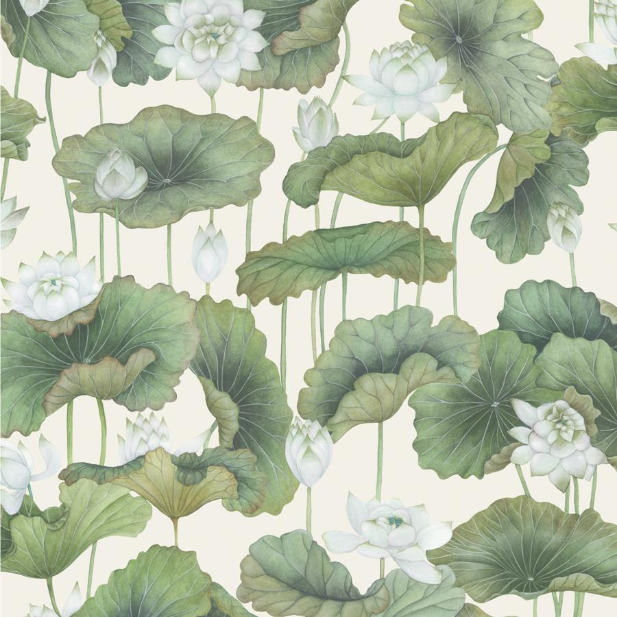 Purchase 126/9034 Lily Lotus, White/Cream Botanical - Cole & Son Wallpaper