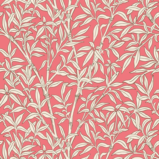 Purchase 127/1001 Bamboo Forest, Chalk/Rouge Botanical - Cole & Son Wallpaper