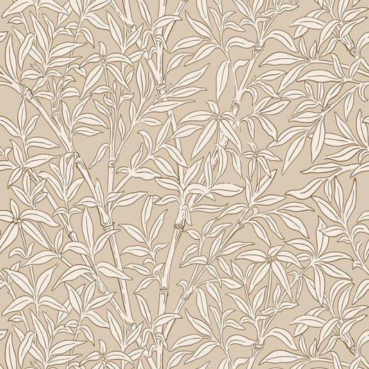 Purchase 127/1005 Bamboo Forest, Oat Botanical - Cole & Son Wallpaper