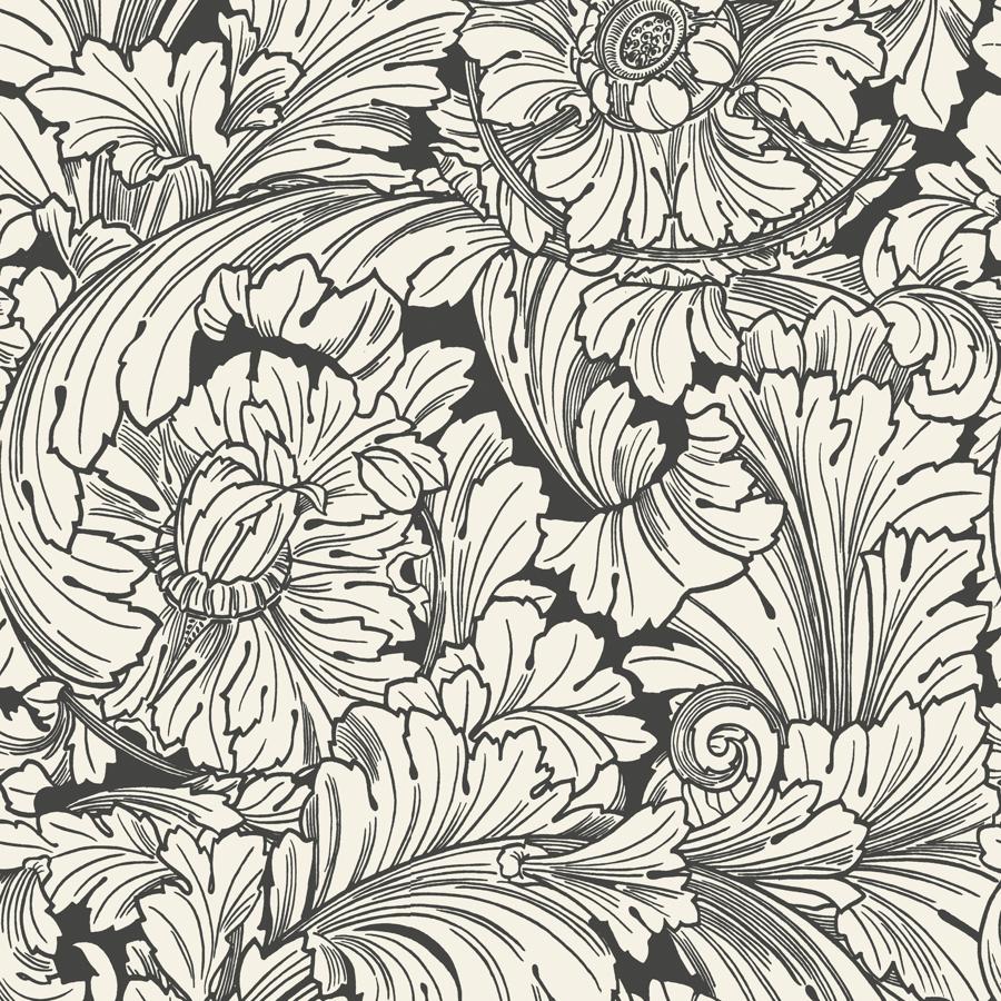 Purchase 127/6032 Acanthus, Soot/Snow Damask - Cole & Son Wallpaper