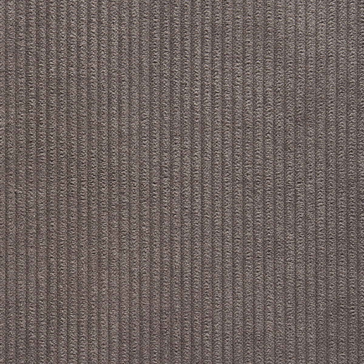 Purchase 8922 Corduroy Cloth Grey Goove Phillip Jeffries