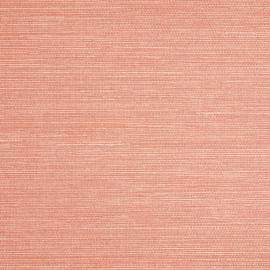 Purchase Phillip Jeffries Wallpaper - 9780, Pj Color Splash ™ - Rose 