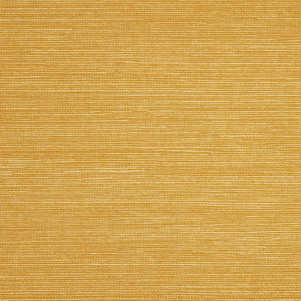 Purchase Phillip Jeffries Wallpaper - 9735, Pj Color Splash ™ - Marigold 