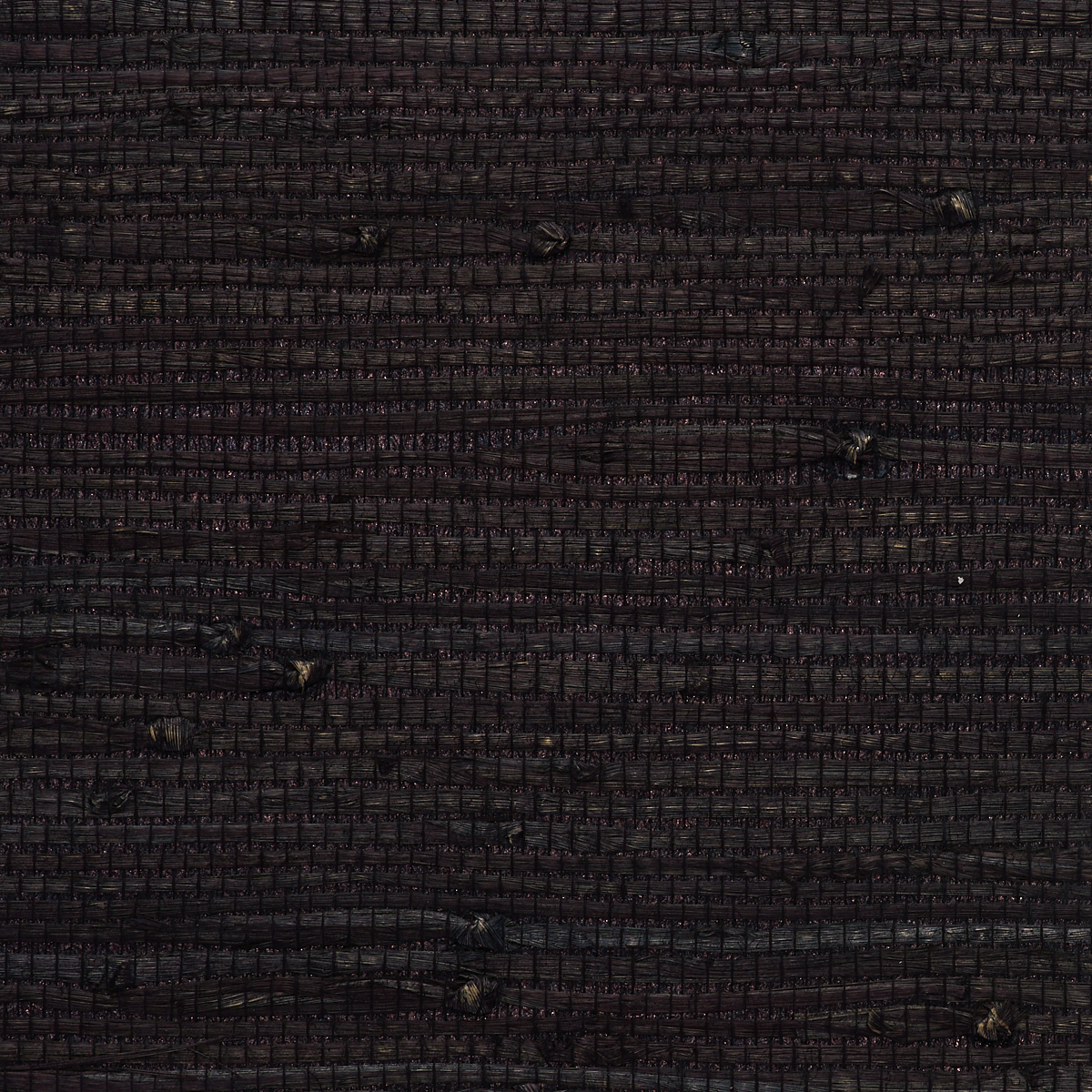 Purchase 9045 Gallant Grasses Black Swan Phillip Jeffries