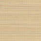 Purchase Phillip Jeffries Wallpaper - 23700, Abaca Harvest - Sunlit Sands 
