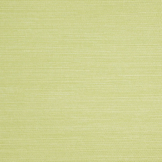 Purchase Phillip Jeffries Wallpaper - 9739, Pj Color Splash ™ - Key Lime 