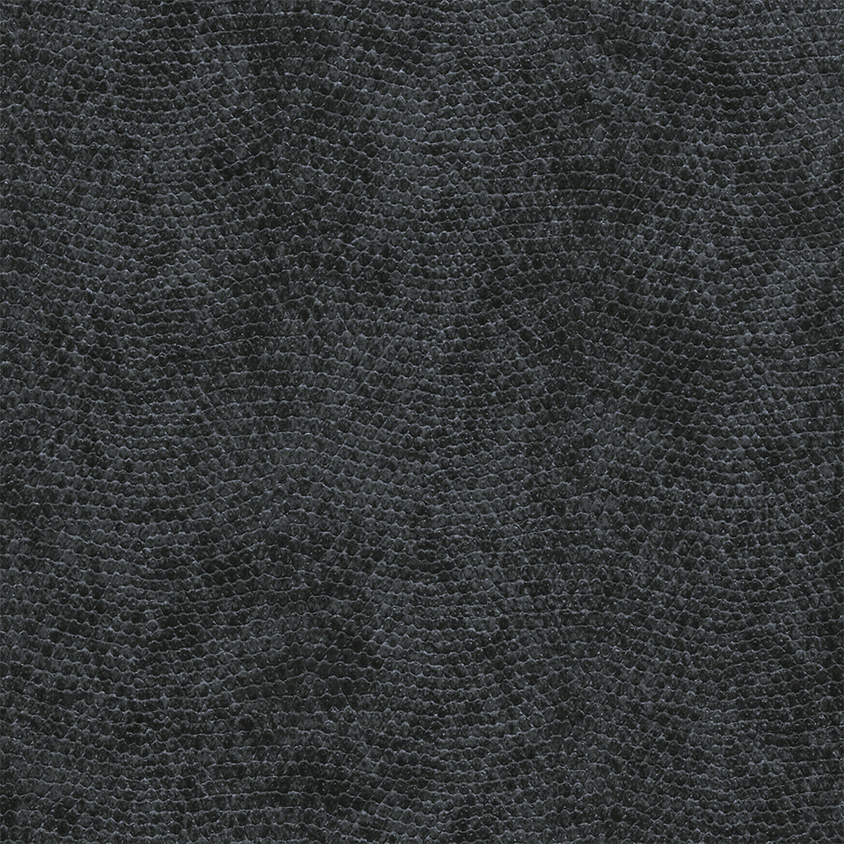 Purchase 8076 Vinyl Snakeskin Black Mamba Grasscloth by Phillip Jeffries Wallpaper