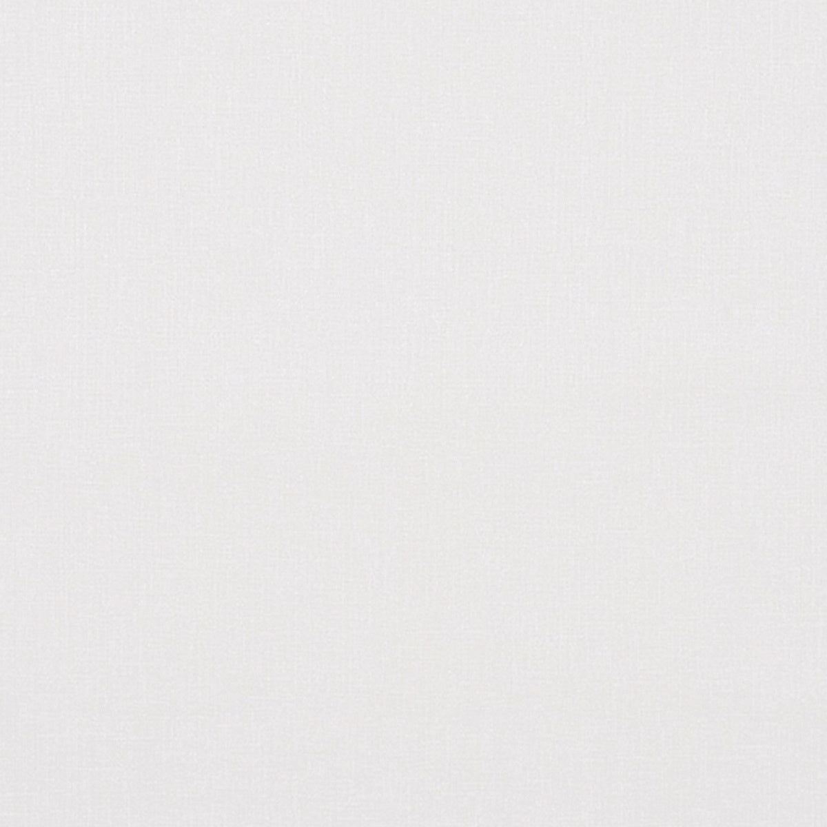 Purchase 8080 Vinyl Canvas Gesso Phillip Jeffries Wallpaper