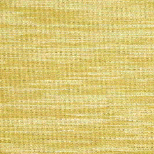 Purchase Phillip Jeffries Wallpaper - 9734, Pj Color Splash ™ - Sunshine 