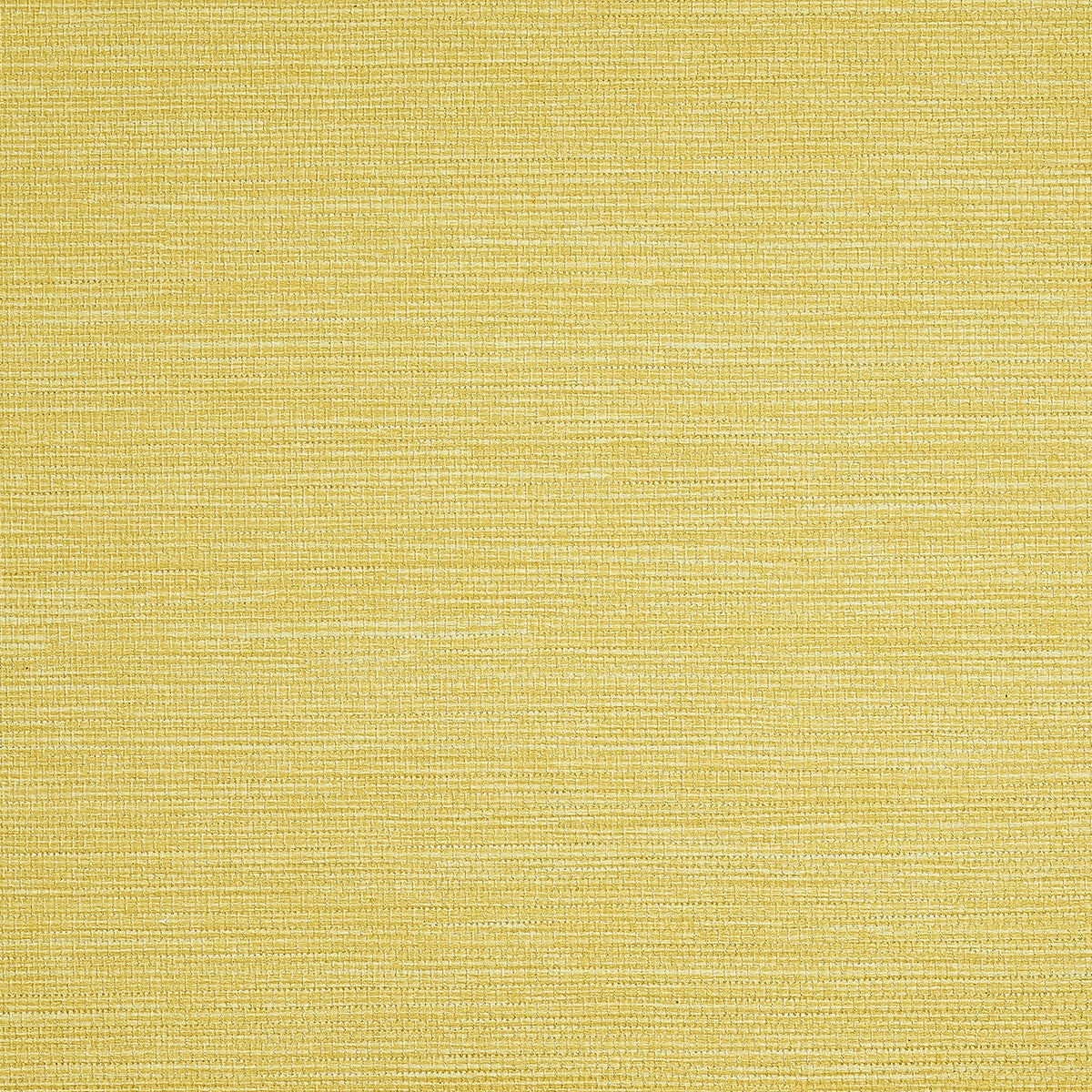 Purchase Phillip Jeffries Wallpaper - 9734, Pj Color Splash ™ - Sunshine 