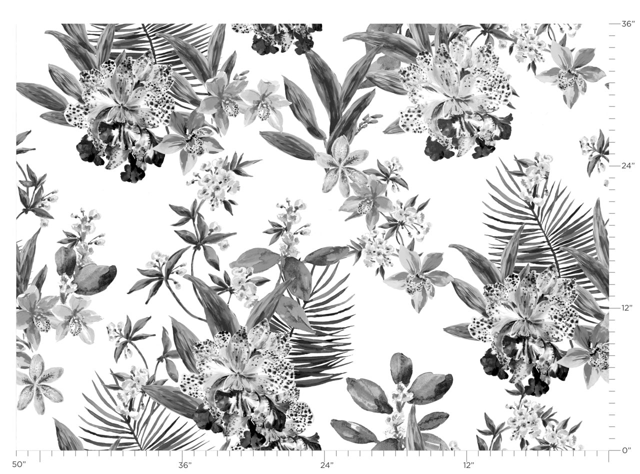 Purchase Phillip Jeffries Wallpaper - 10559, Aloha Orchids - Tropical Spritz 3