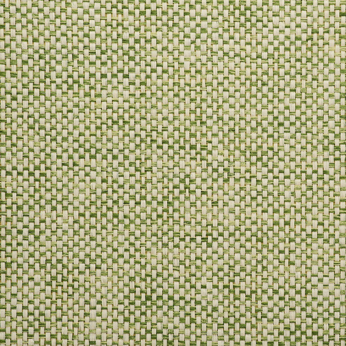 Purchase 3331 All Wound Up Chromatic Lime Zest Phillip Jeffries Wallpaper