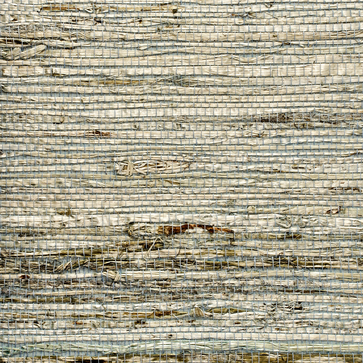 Purchase 3841 Extra Fine Arrowroot Solitude Phillip Jeffries Wallpaper