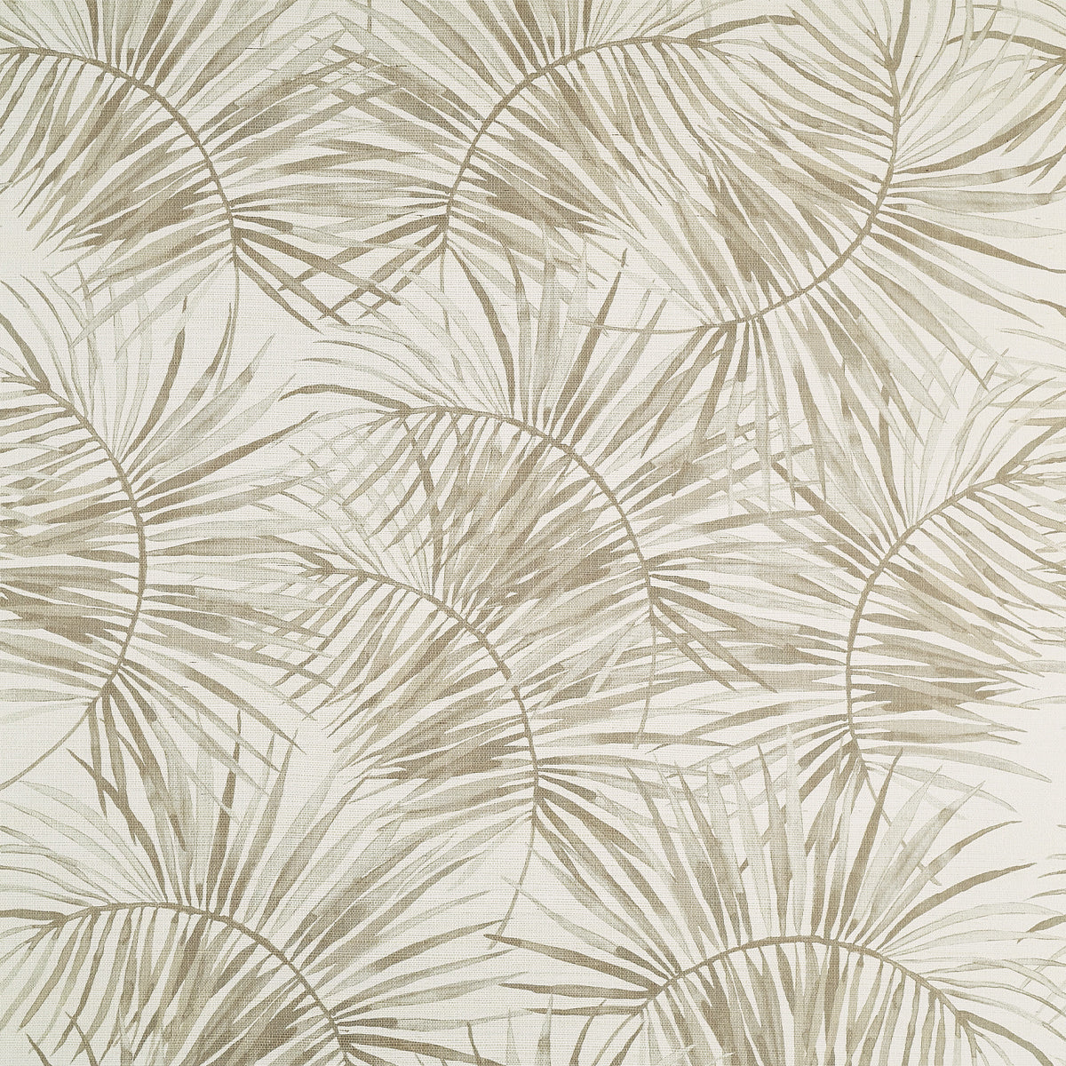 Purchase Phillip Jeffries Wallpaper - 10454, Island Time - Palm Shadow 