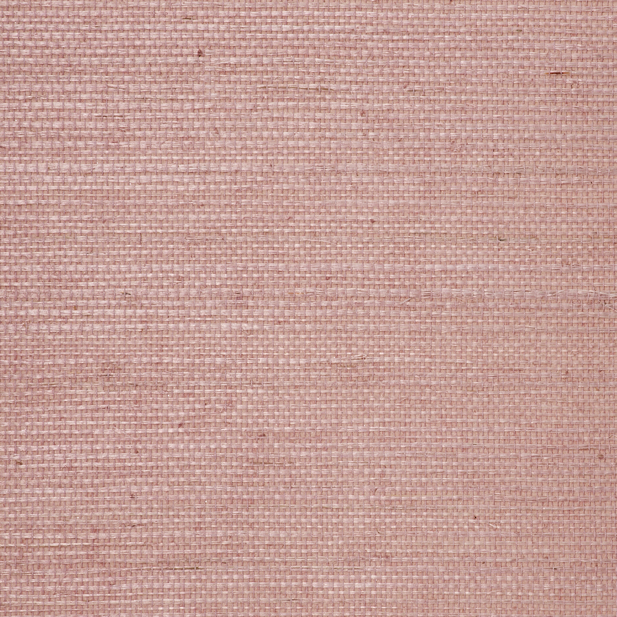 Purchase 5237 Manila Hemp Petal Phillip Jeffries Wallpaper
