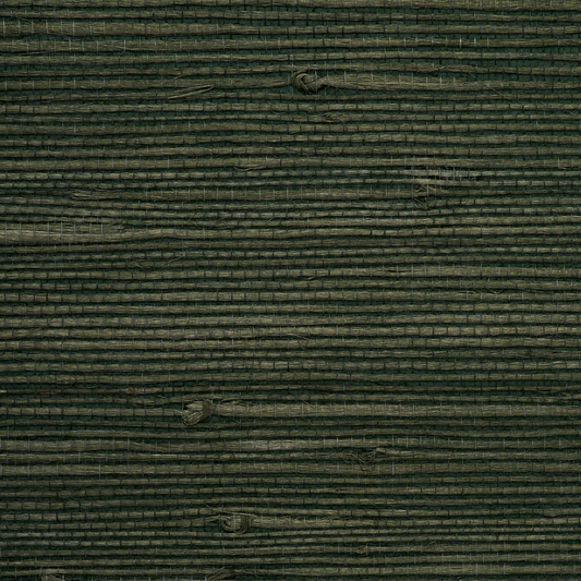 Purchase 4773 Juicy Jute II Racing Green Phillip Jeffries
