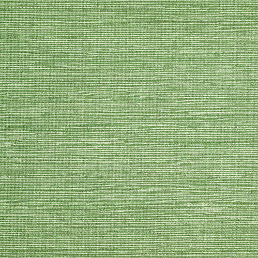 Purchase Phillip Jeffries Wallpaper - 9741, Pj Color Splash ™ - Avocado 