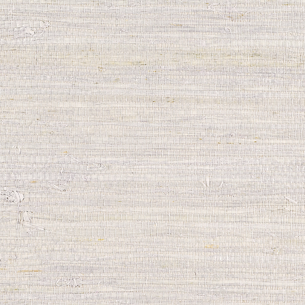 Purchase Phillip Jeffries Wallpaper - 10803, Extra Fine Arrowroot - Lavender 