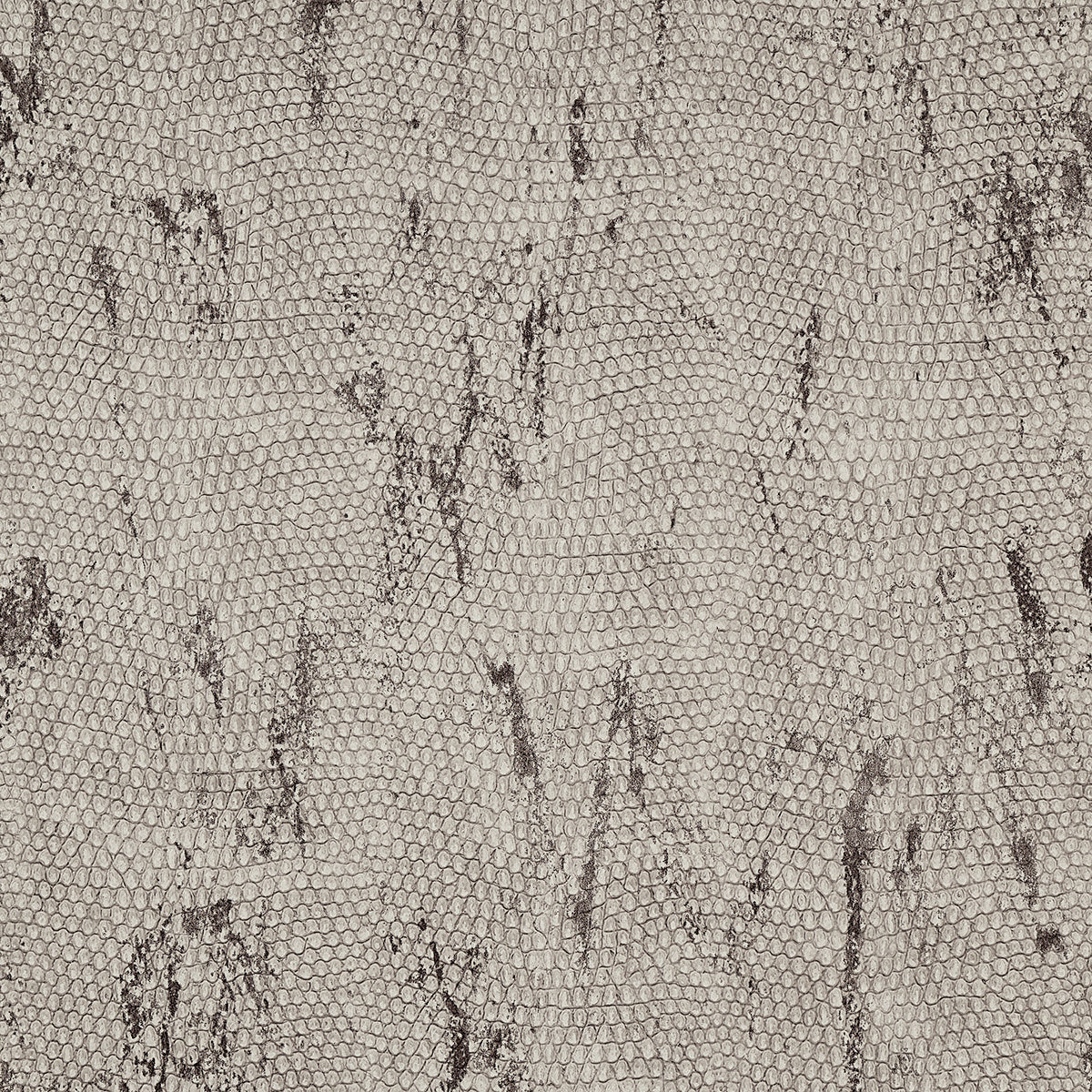 Purchase Phillip Jeffries Wallpaper - 10250, Vinyl Snakeskin - Grey Garter 