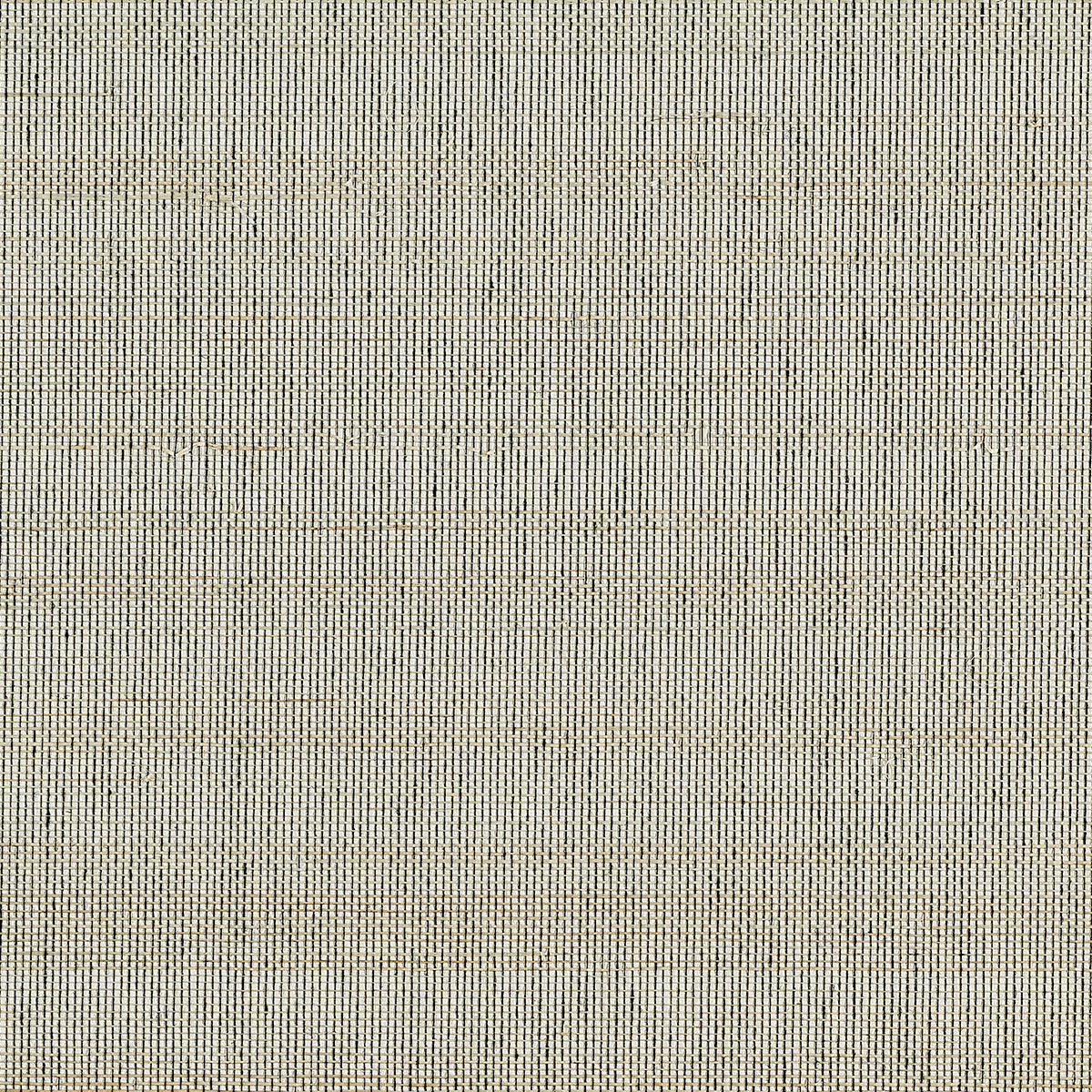 Purchase Phillip Jeffries Wallpaper - 10769, Horsehair - Grulla Grey 