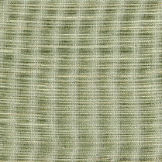 Purchase Phillip Jeffries Wallpaper - 23707, Abaca Harvest - Calm Celadon 