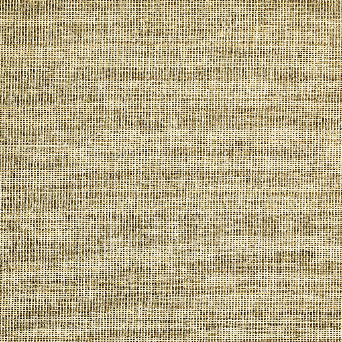 Purchase 4887 Abaca Mist Morning Rays Phillip Jeffries
