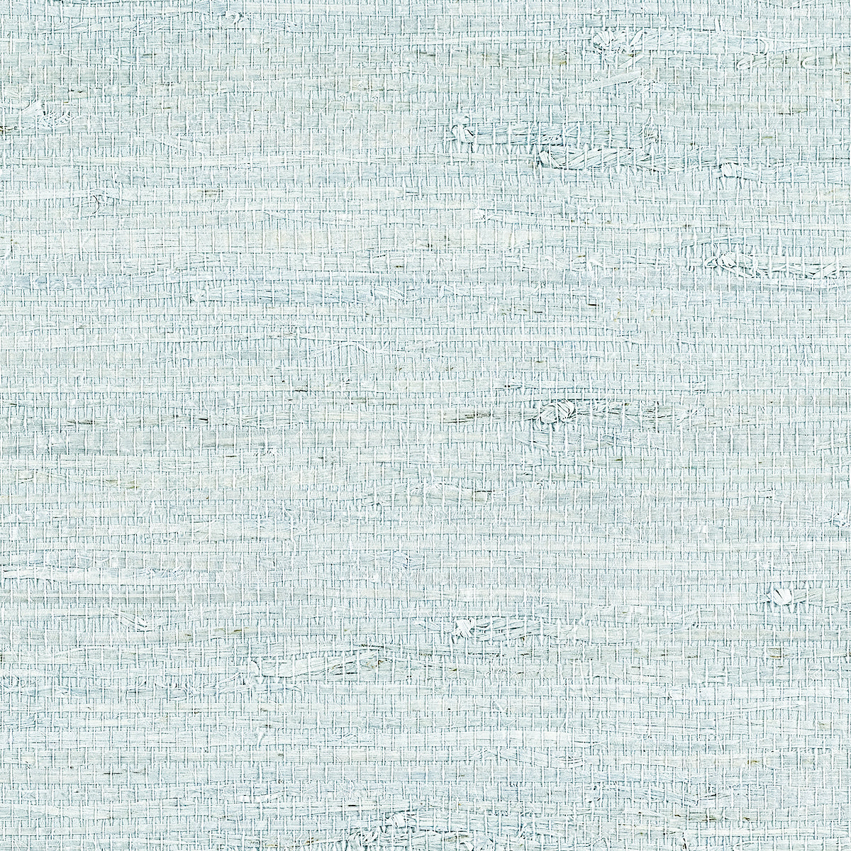 Purchase Phillip Jeffries Wallpaper - 10801, Extra Fine Arrowroot - Glacial 