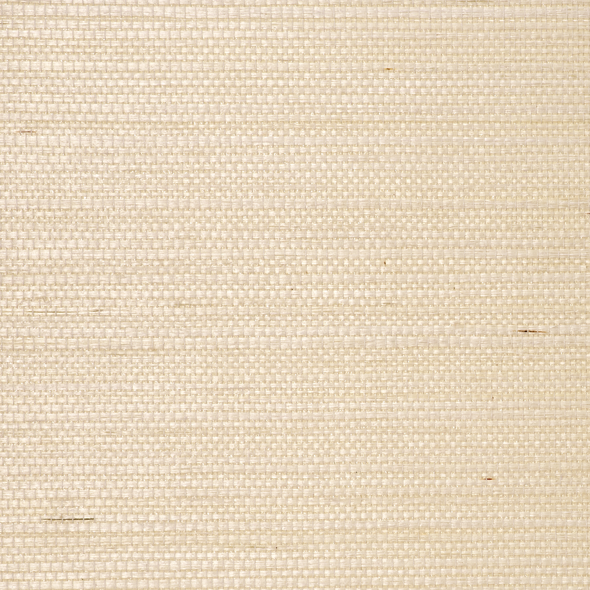 Purchase Phillip Jeffries Wallpaper - 9825, Manila Hemp - Sugar Cookie 