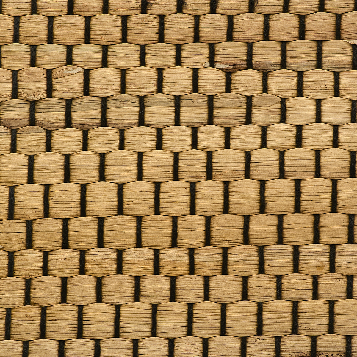 Purchase 3151 Braided Walls Coconut Shell Phillip Jeffries Wallpaper