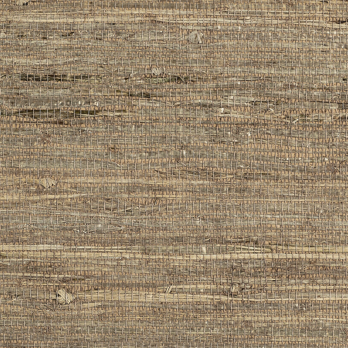 Purchase 075 Extra Fine Arrowroot Tobacco Phillip Jeffries