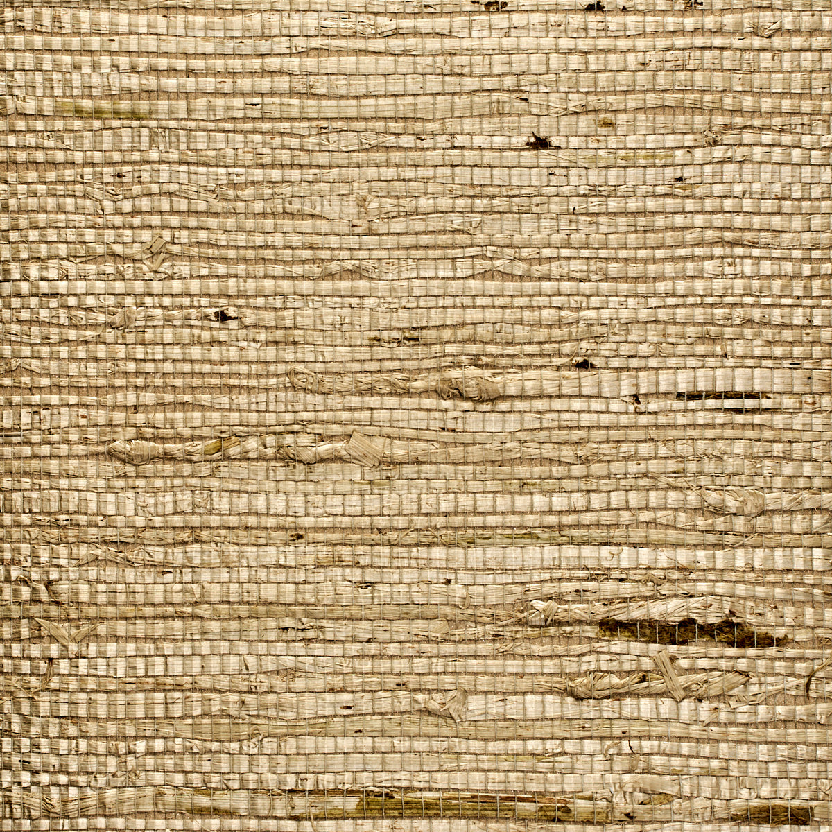 Purchase 3838 Extra Fine Arrowroot Garden Stone Phillip Jeffries Wallpaper