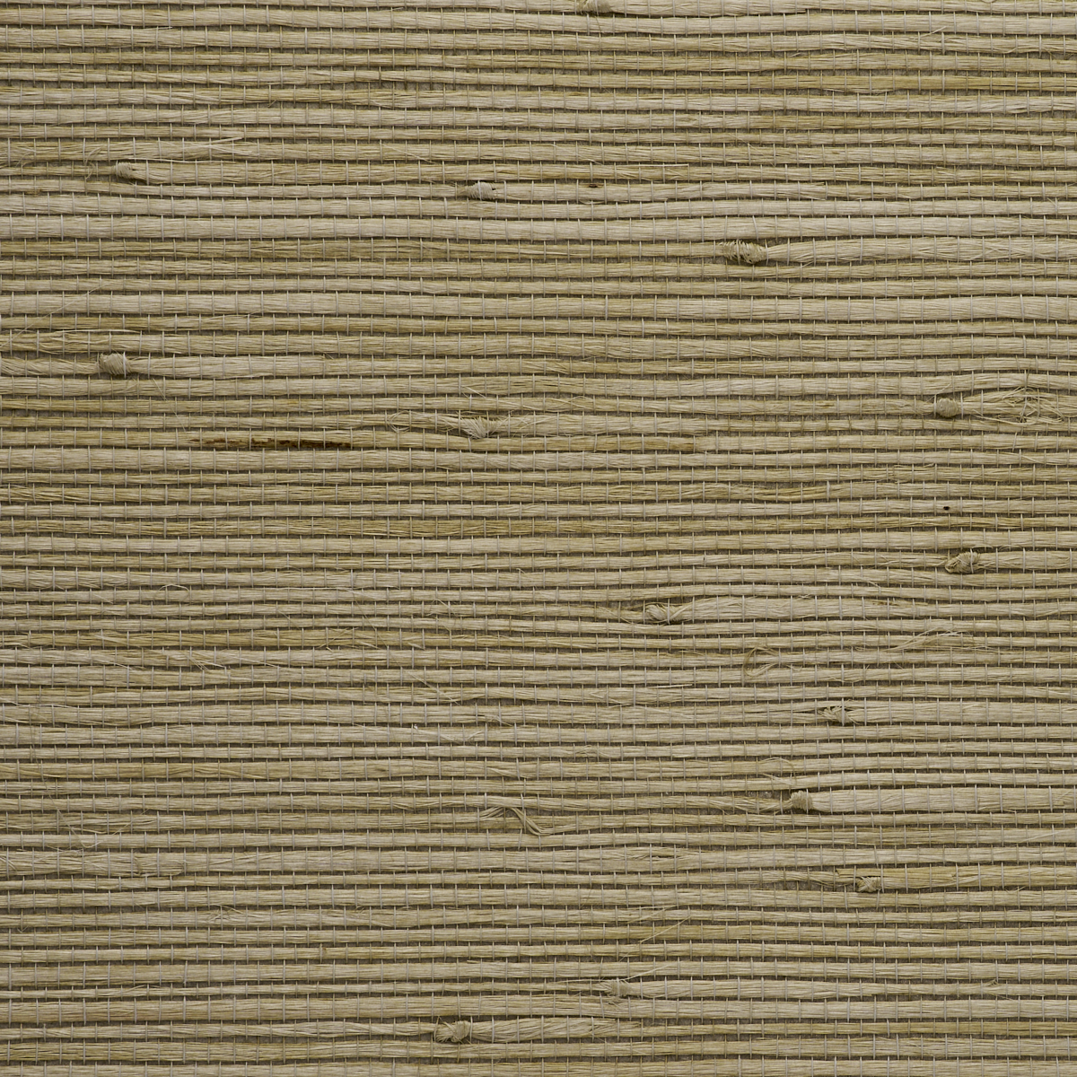 Purchase 4771 Juicy Jute II Matcha Tea Phillip Jeffries