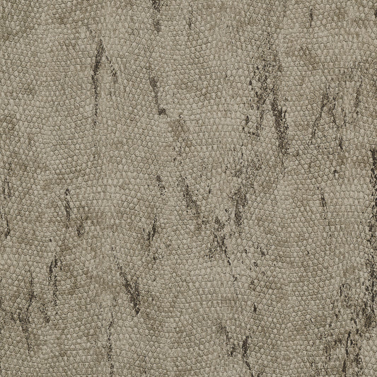 Purchase Phillip Jeffries Wallpaper - 10251, Vinyl Snakeskin - Sidewinder 