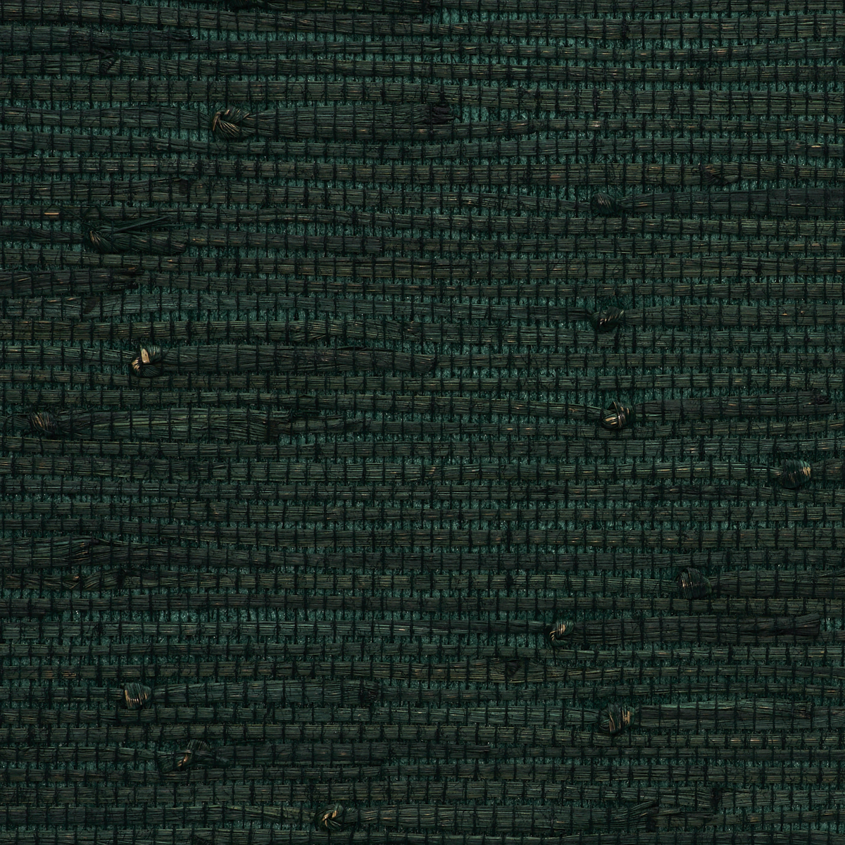 Purchase 9042 Gallant Grasses Garden Valor Phillip Jeffries